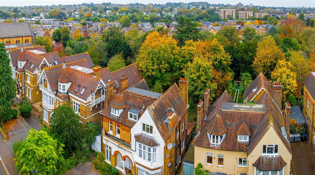 Aerial view of Ealing, a residential area in western part of London