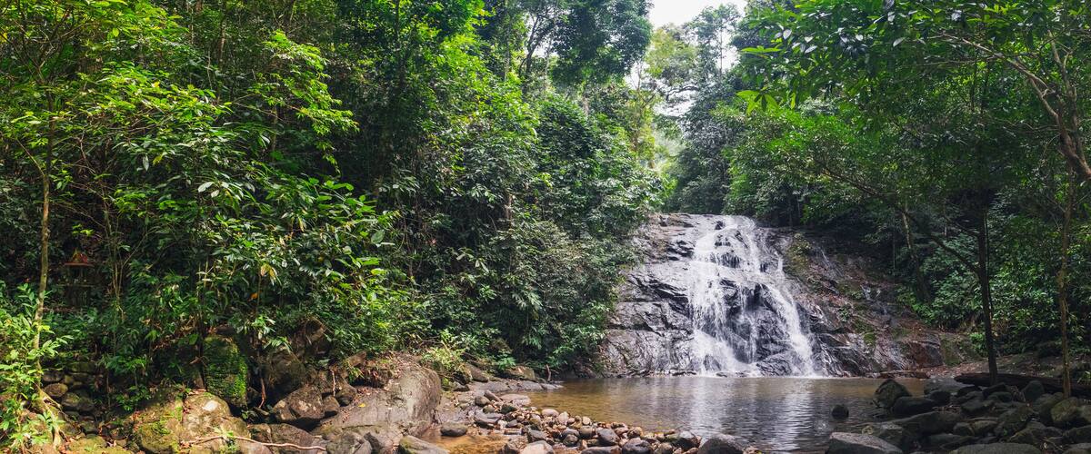 A waterfall in a forested area with rocks and a small stream.