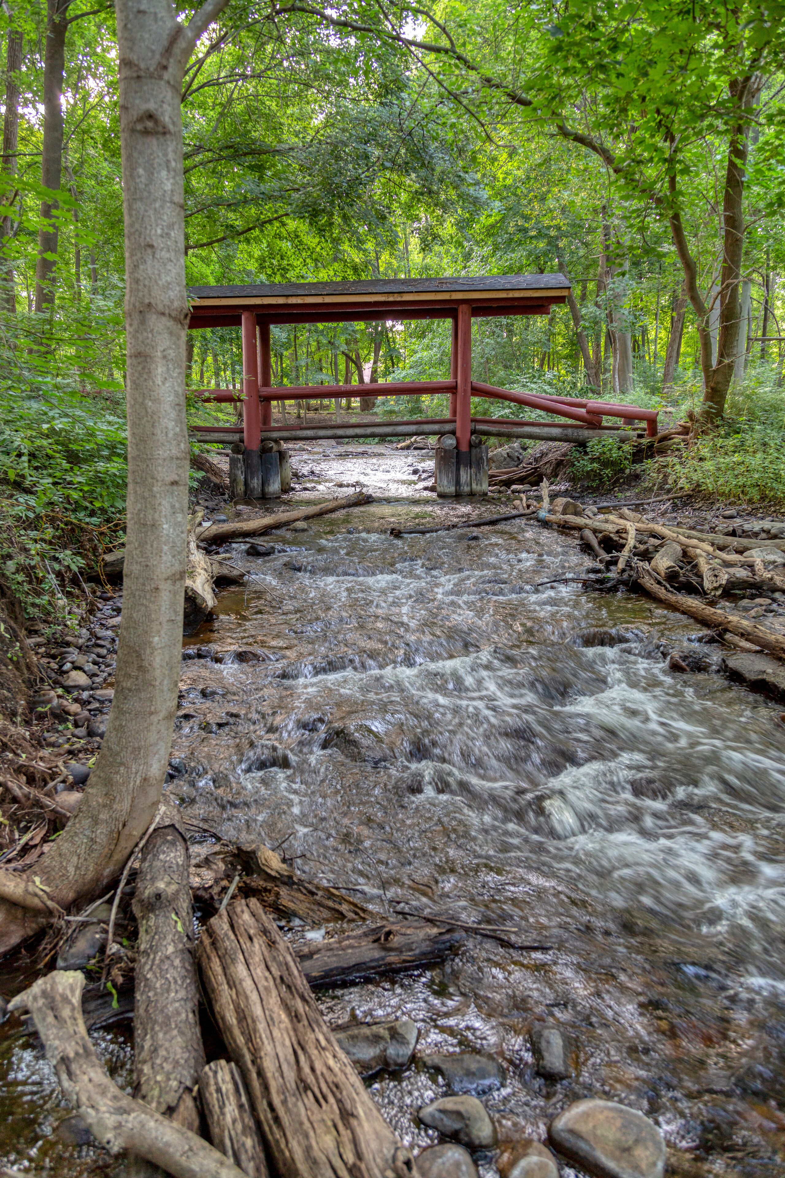 A wooden footbridge crosses a tributary of the Huron River in Mill Pond Park, Commerce Township, Michigan.