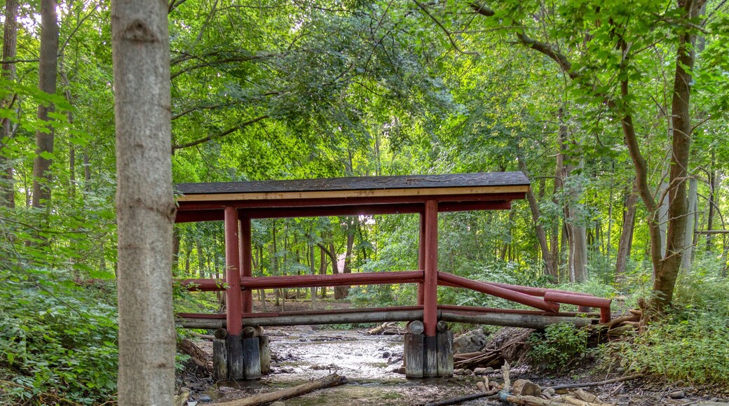 A wooden footbridge crosses a tributary of the Huron River in Mill Pond Park, Commerce Township, Michigan.