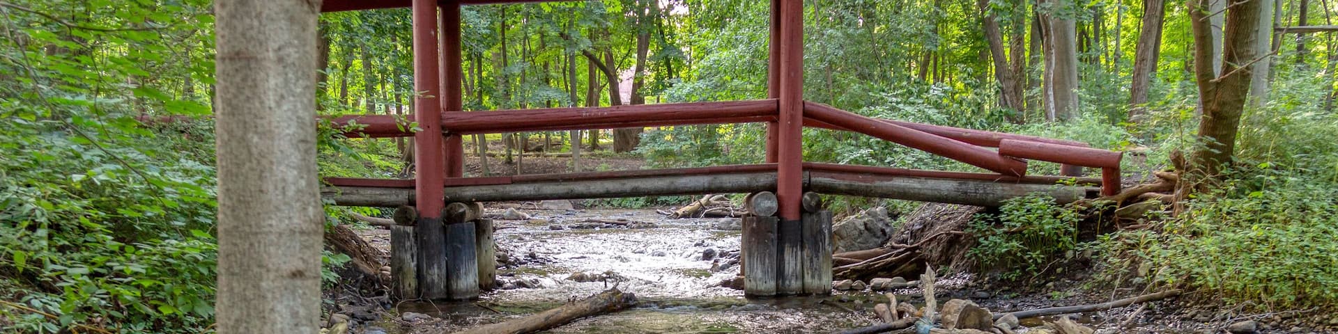 A wooden footbridge crosses a tributary of the Huron River in Mill Pond Park, Commerce Township, Michigan.