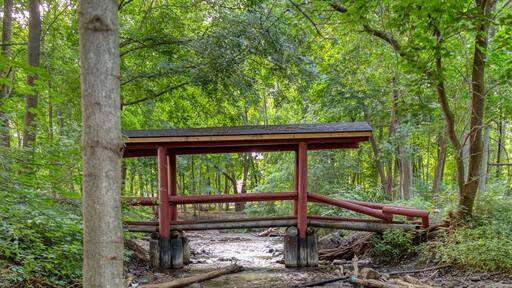 A wooden footbridge crosses a tributary of the Huron River in Mill Pond Park, Commerce Township, Michigan.