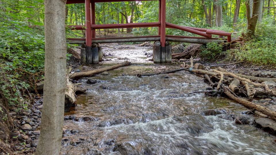 A wooden bridge over a flowing stream in a forest.