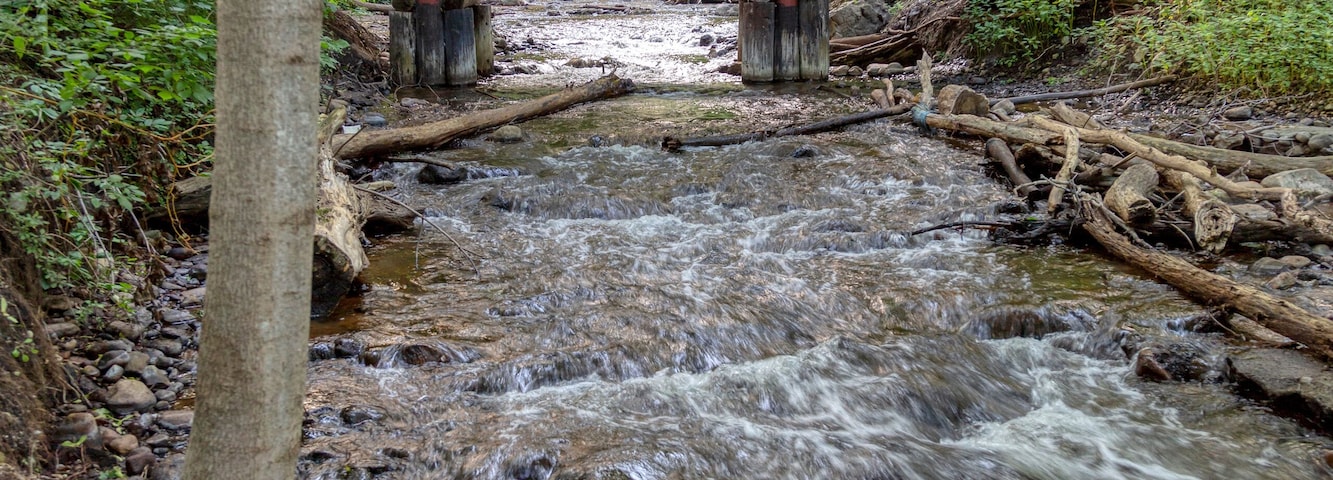 A wooden footbridge crosses a tributary of the Huron River in Mill Pond Park, Commerce Township, Michigan.