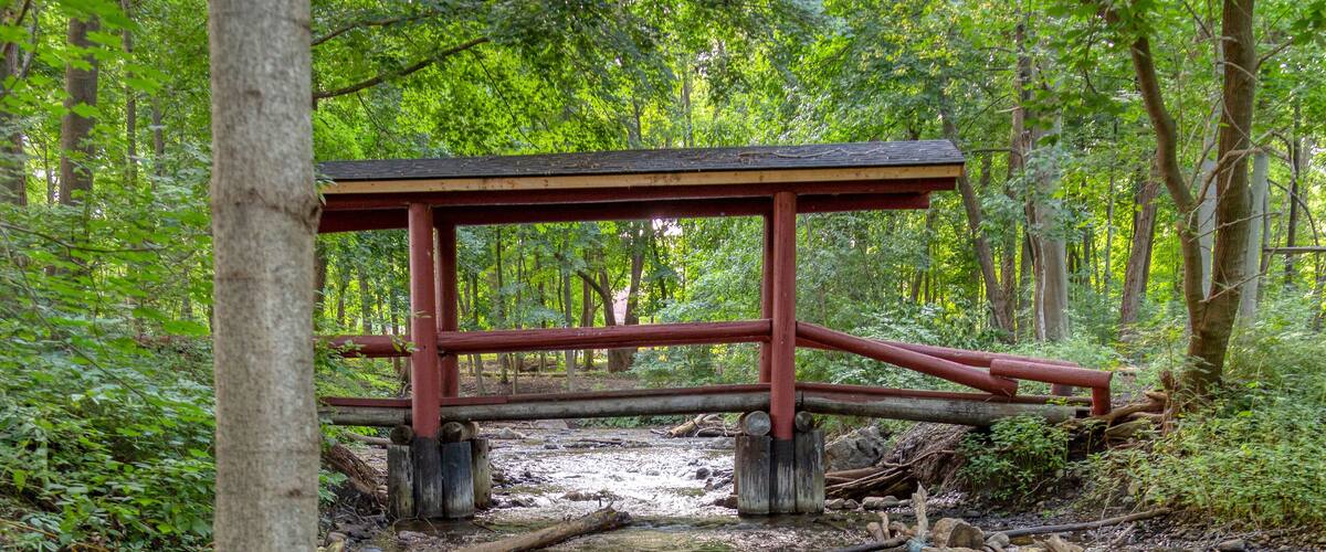 A wooden footbridge crosses a tributary of the Huron River in Mill Pond Park, Commerce Township, Michigan.