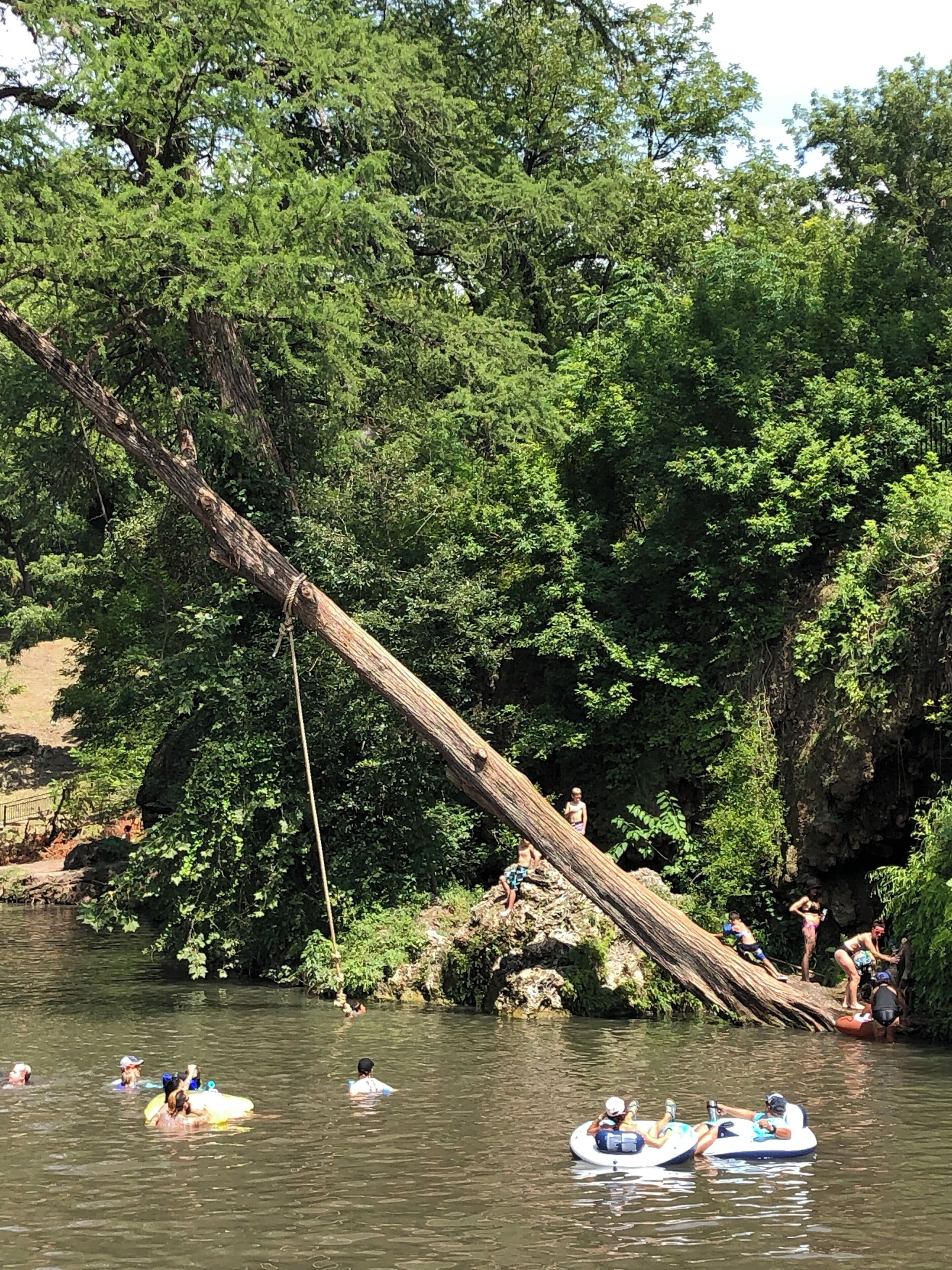 Krause Springs is situated in the center of Texas and has the most unique waterfall and swimming hole.  Best on a hot day since the spring water can be pretty chilly.  The rope swing is an added bonus.