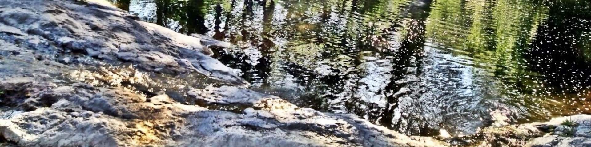 A calm river with reflections of trees, surrounded by a rocky shoreline and dense forest.