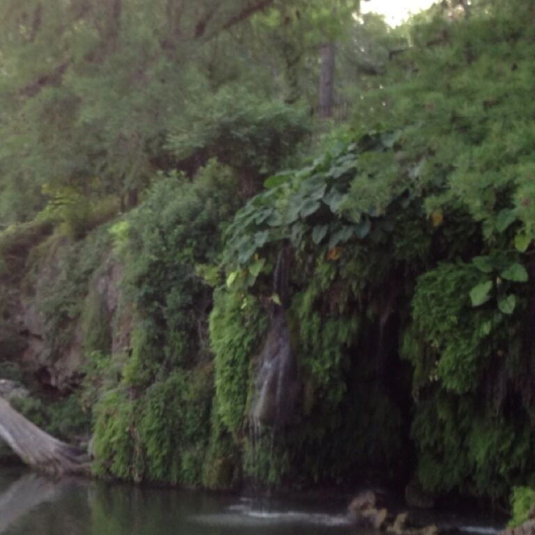 Spring fed swimming pool, waterfall, rope swing, river, solitude (during the weekdays) super friendly staff, luxury bathroom (not what you would expect out here) 