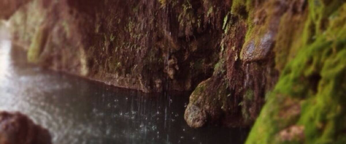 Krause springs camp grounds. #lake #waterfall #green #moss #pretty