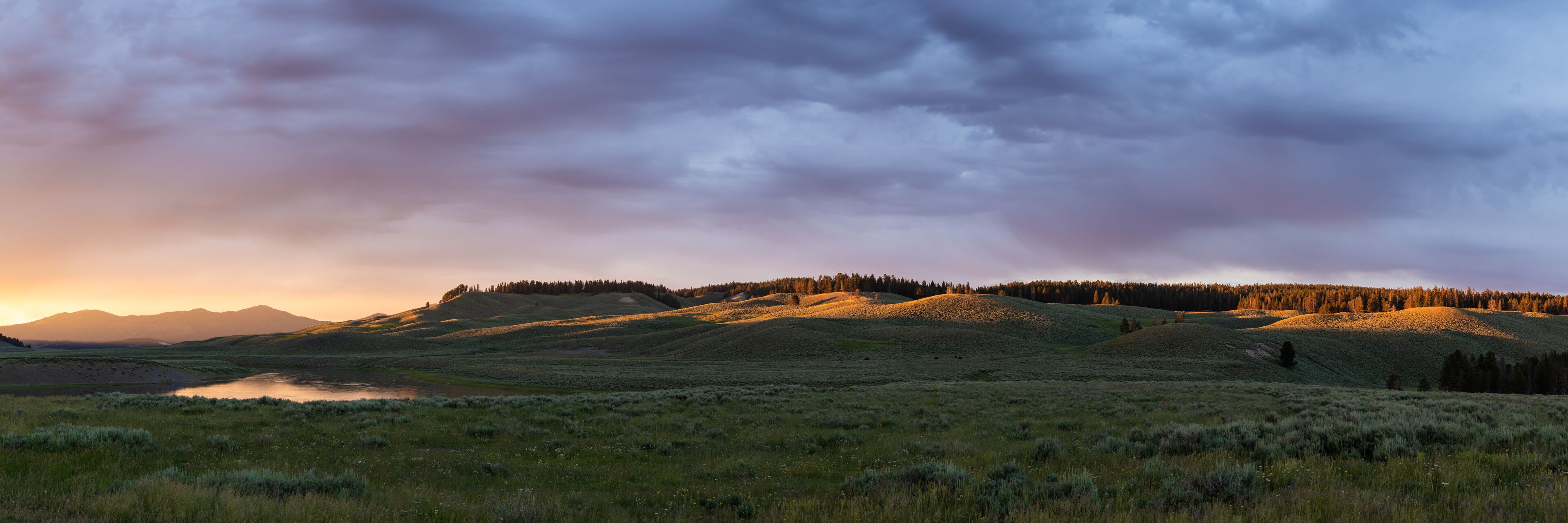 A grassy landscape with rolling hills and a lake.