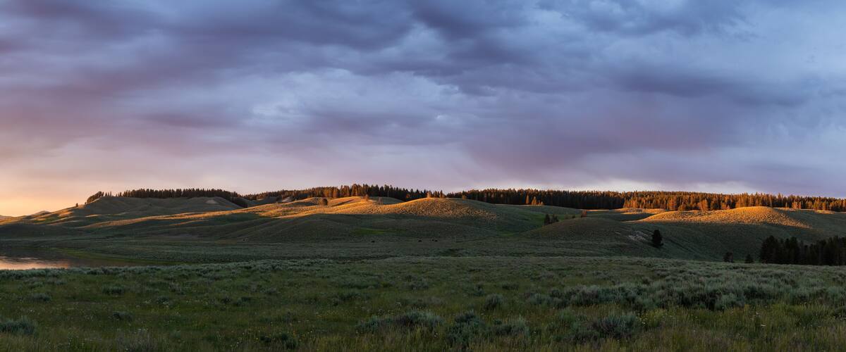 A grassy landscape with rolling hills and a lake.