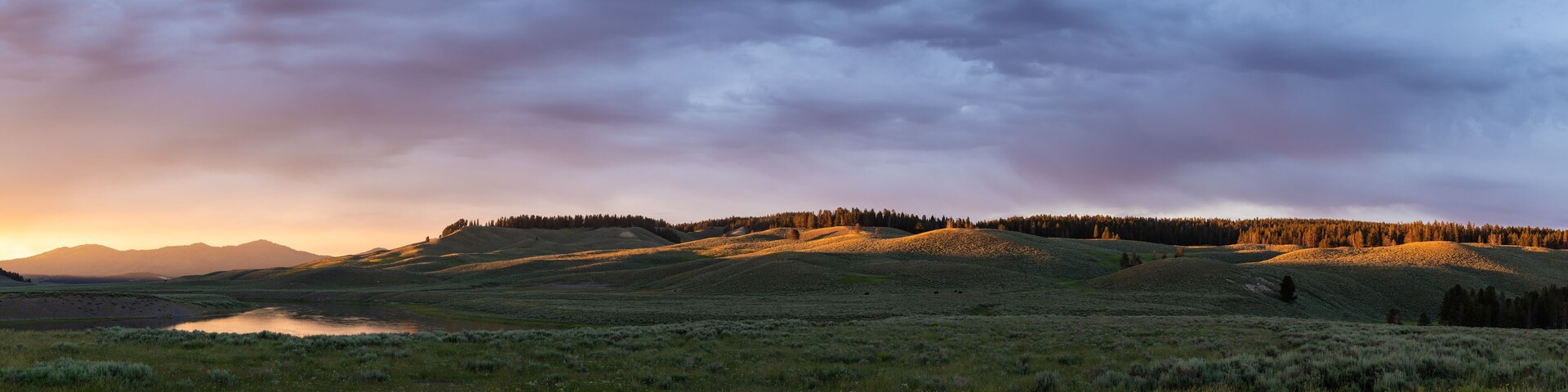 A grassy landscape with rolling hills and a lake.