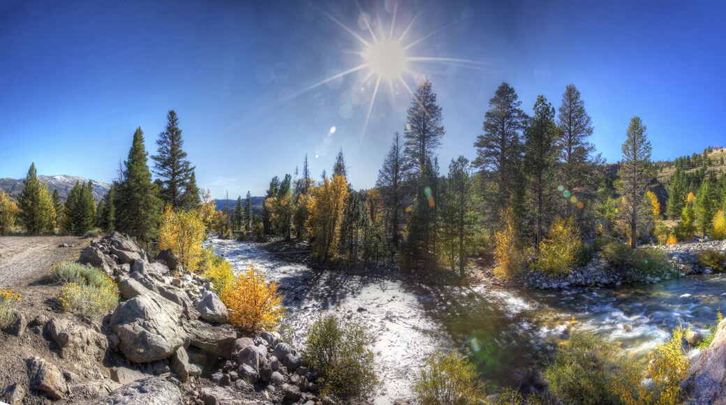 Trout Creek