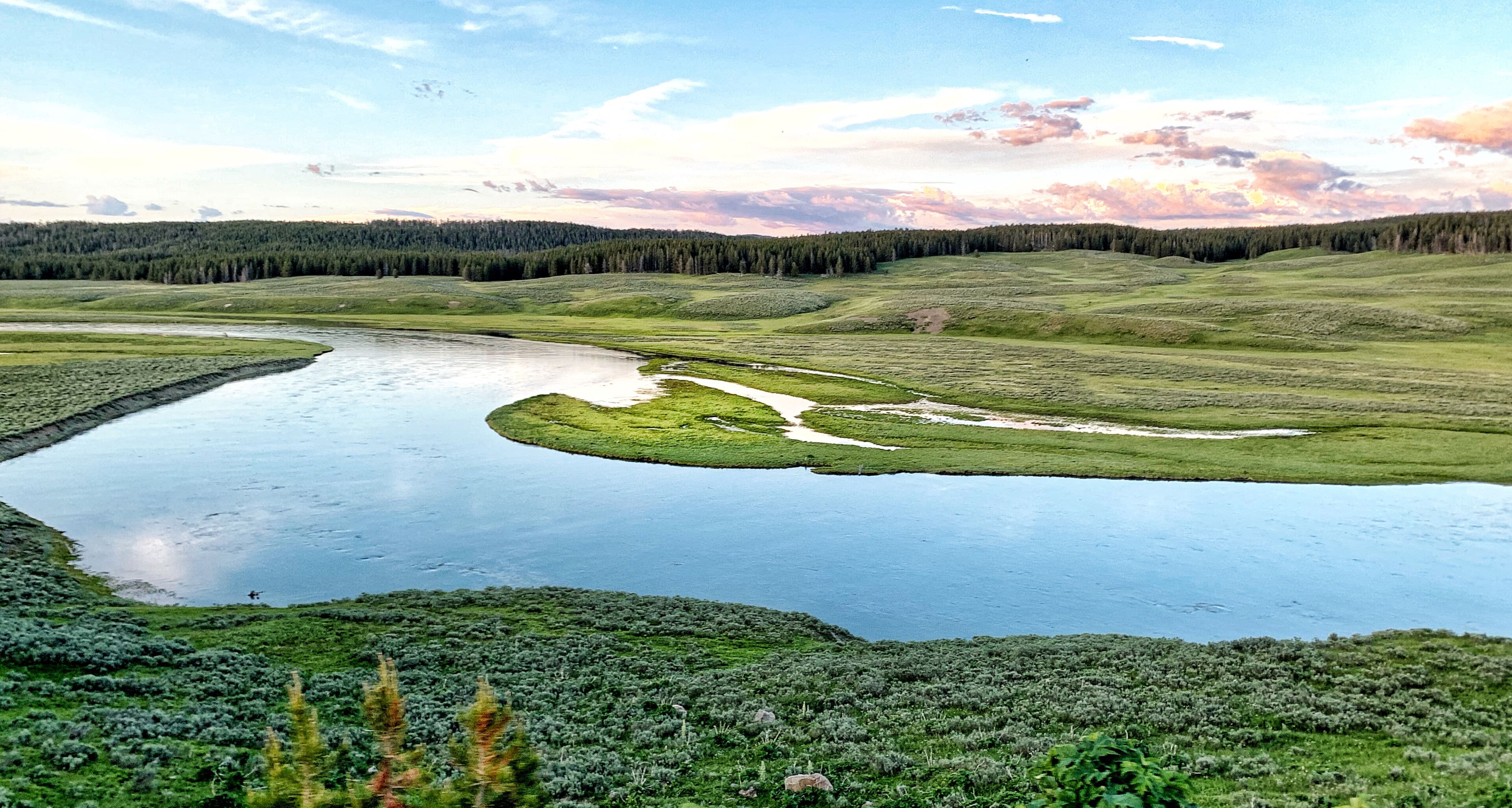Hayden Valley in Yellowstone National Park, Wyoming Montana. Northwest. Yellowstone is a summer wonderland to watch the wildlife and natural landscape. Geothermal. 