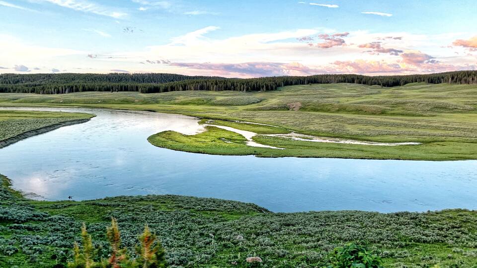 Hayden Valley in Yellowstone National Park, Wyoming Montana. Northwest. Yellowstone is a summer wonderland to watch the wildlife and natural landscape. Geothermal.