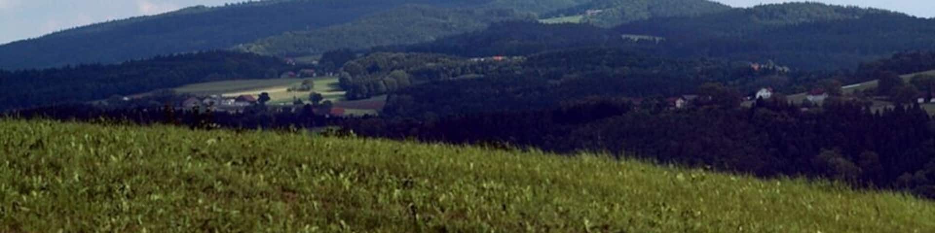 Der Haugstein im Sauwald