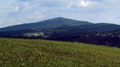 Der Haugstein im Sauwald