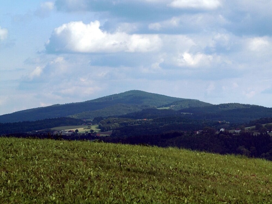 Un campo cubierto de hierba con una montaña al fondo.