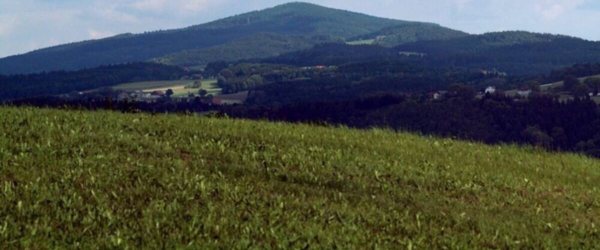 A grassy field with a mountain in the background.