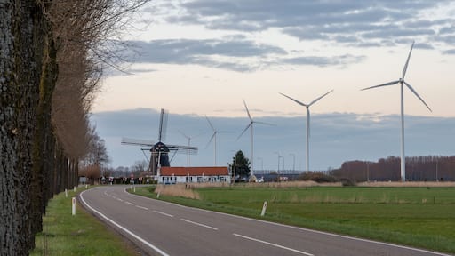 ์ํด ๋ขฐ๋ฅด