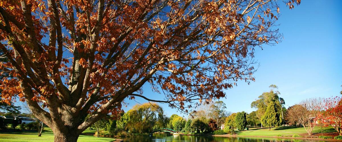 Darling Downs featuring a pond, autumn leaves and a garden