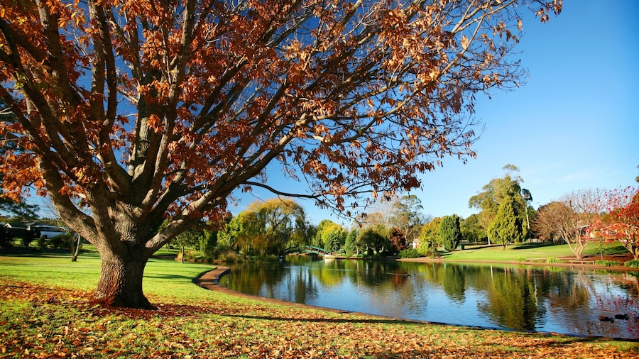 Darling Downs which includes a garden, a pond and autumn leaves