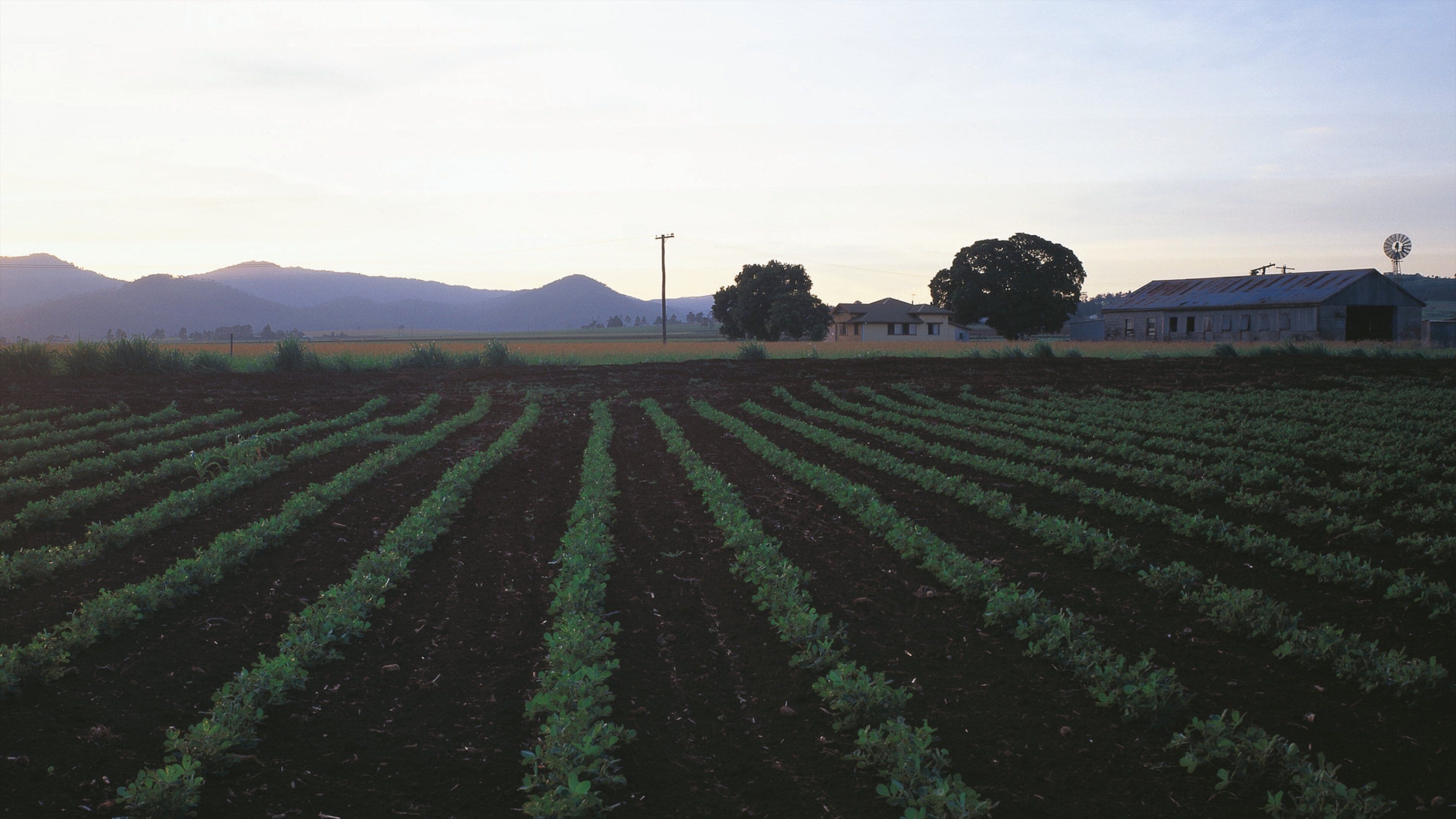 Darling Downs mostrando tierras de cultivo