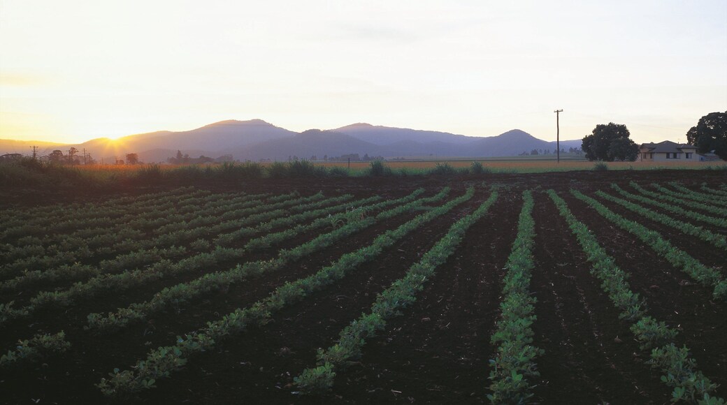 Darling Downs which includes a sunset and farmland