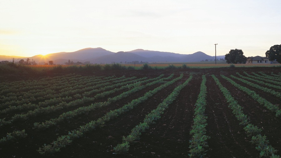 Darling Downs which includes a sunset and farmland