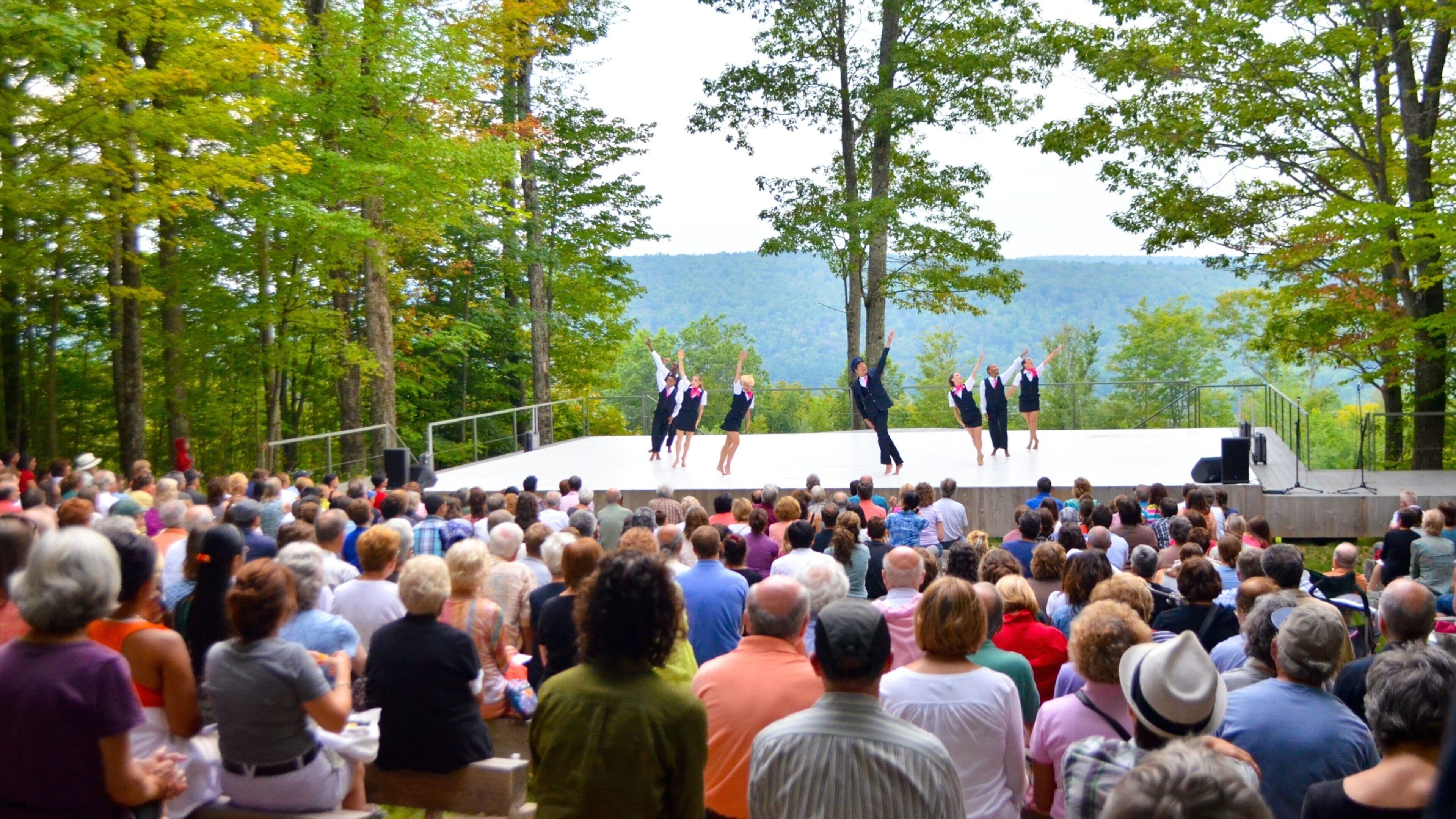 The Berkshires which includes street performance and performance art as well as a large group of people