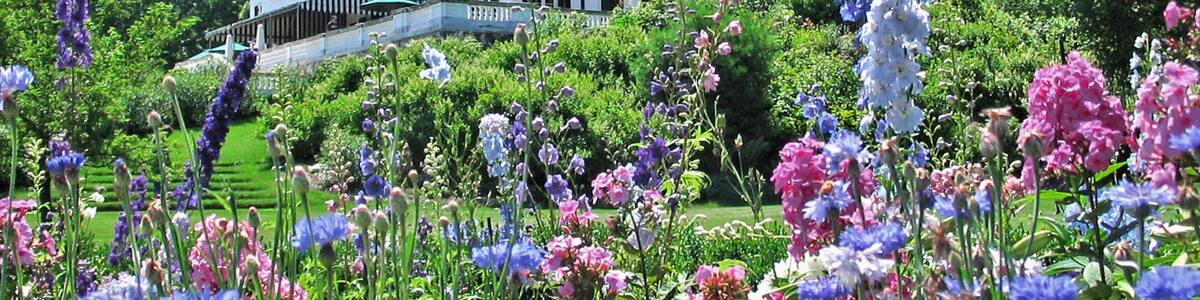 The Berkshires which includes flowers