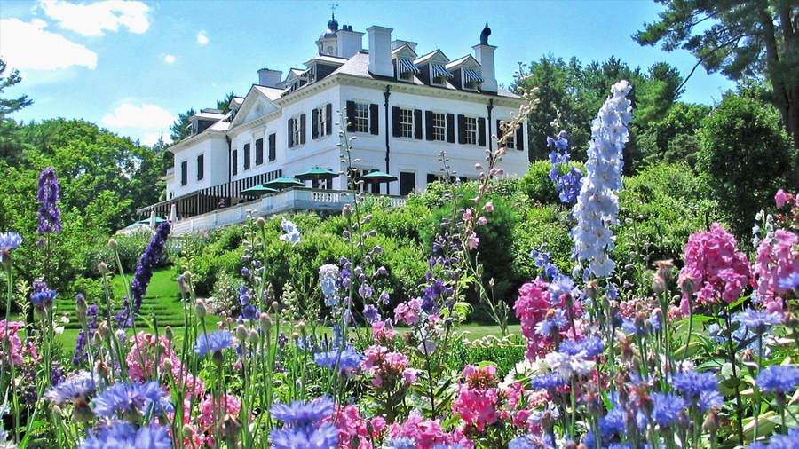 The Berkshires featuring flowers