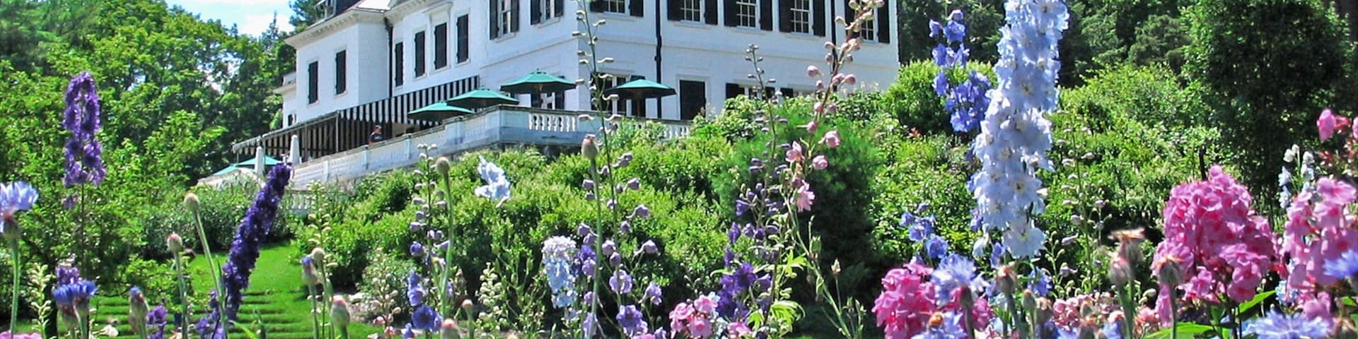 The Berkshires showing flowers
