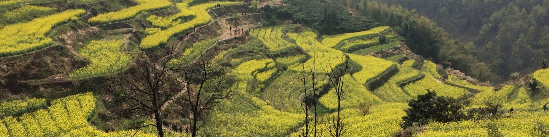 The Chinese countryside. Pujiang county, Zhejiang province.