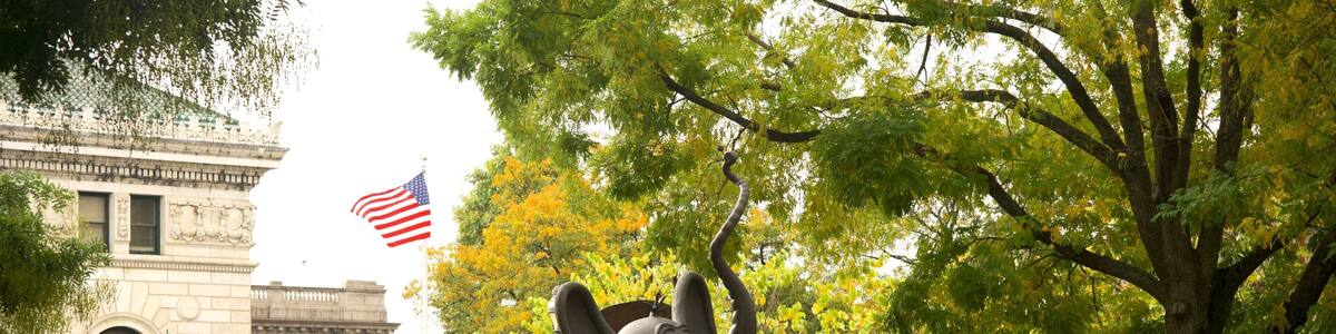 Springfield featuring outdoor art