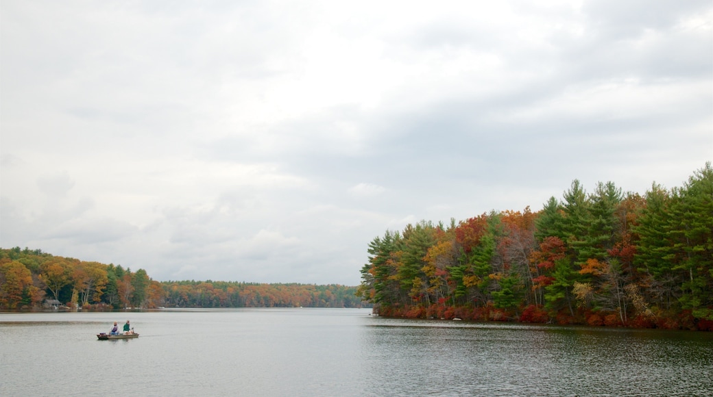 Central Massachusetts which includes kayaking or canoeing, a river or creek and wetlands