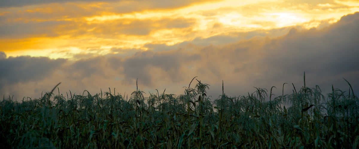Massachusetts que incluye tierras de cultivo y una puesta de sol