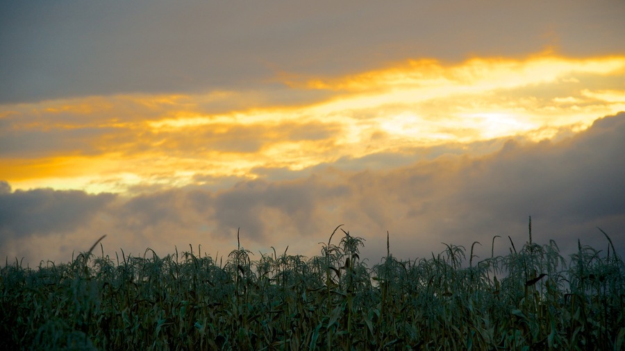 Massachusetts showing farmland and a sunset