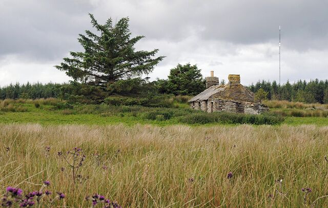 Derelict Croft at Blood Moss Rumster Forest television transmitter mast in the distance
