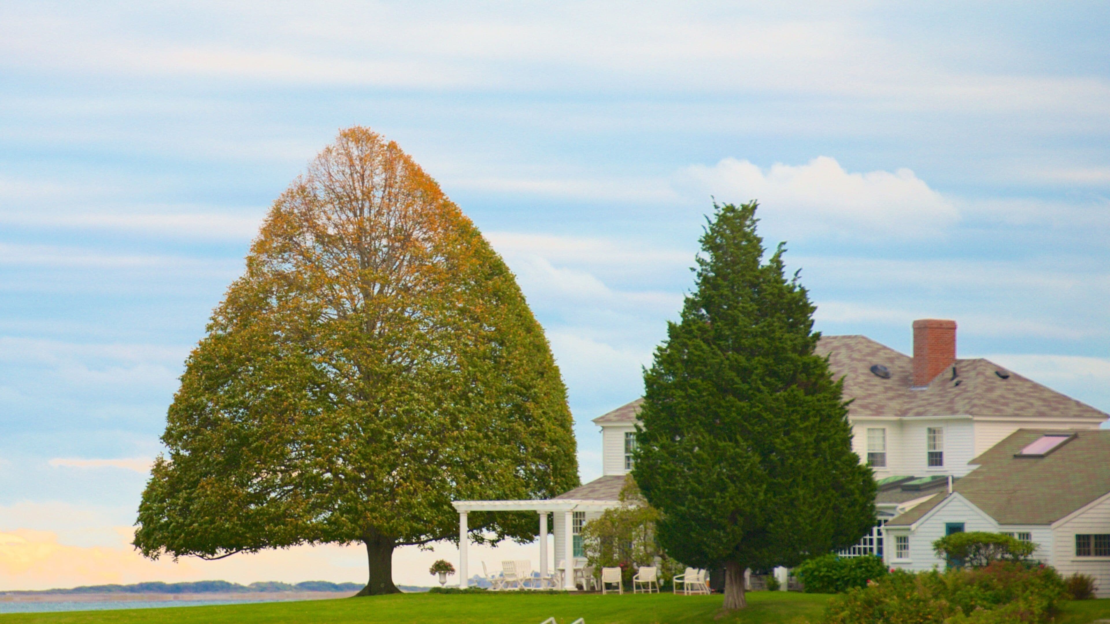 A large tree, a smaller tree, and a house with a porch.