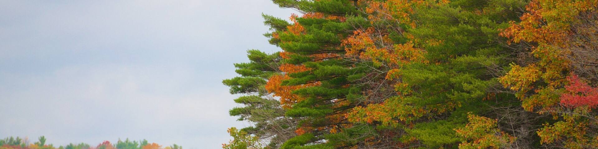 Southeast Massachusetts showing fall colors, fishing and a river or creek