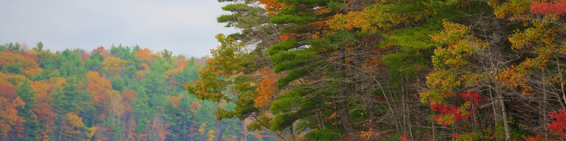 Sureste de Massachusetts ofreciendo hojas de otoño, un río o arroyo y pesca