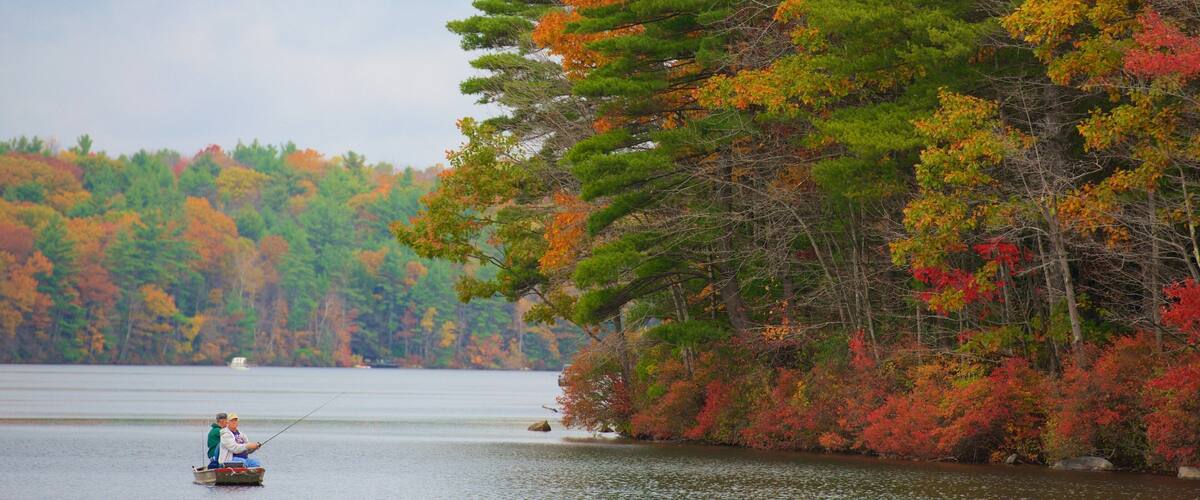 A lake surrounded by autumn-colored trees.