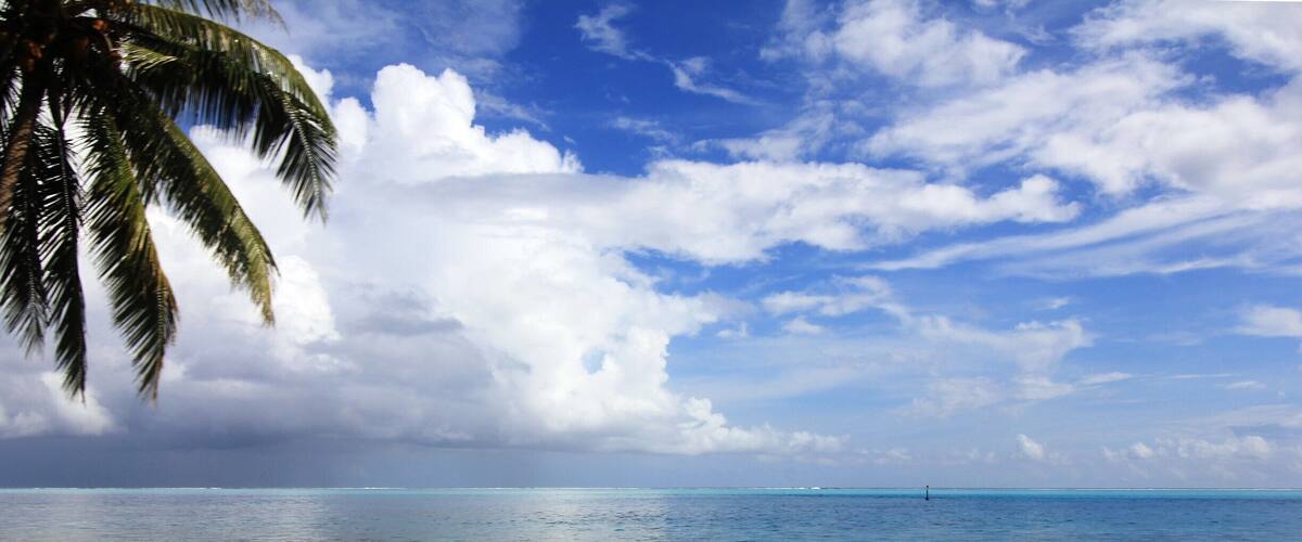 A tropical beach with palm trees, clear blue water, and a partly cloudy sky.