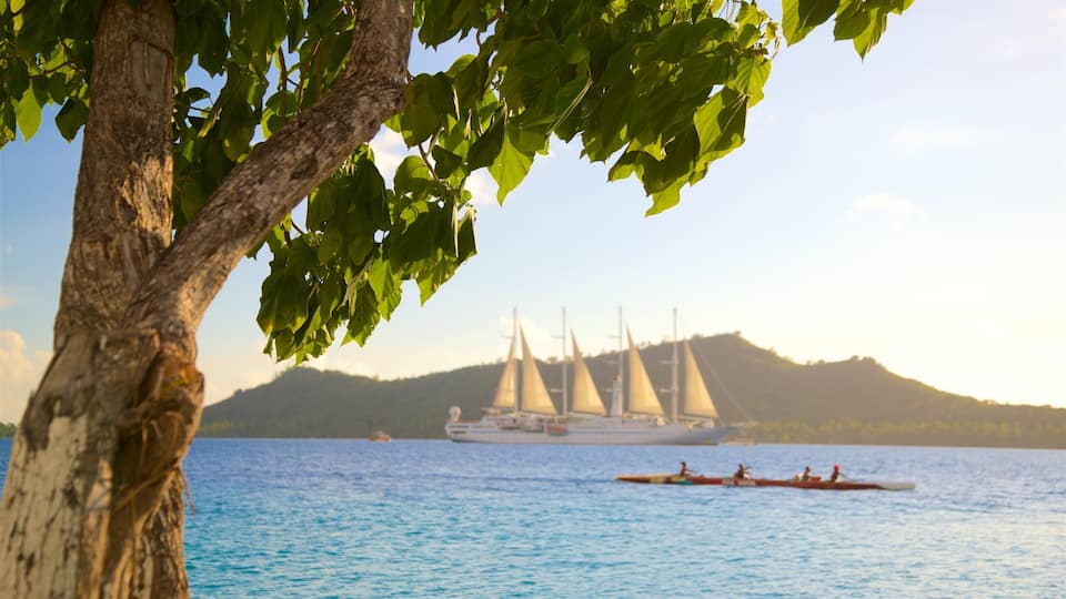 A sailboat on calm waters, a large yacht in the background, and a tree with green leaves in the foreground.