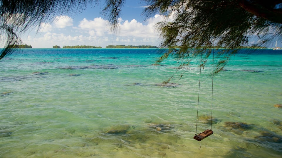 A clear turquoise sea with visible rocks and a swing hanging over the water.