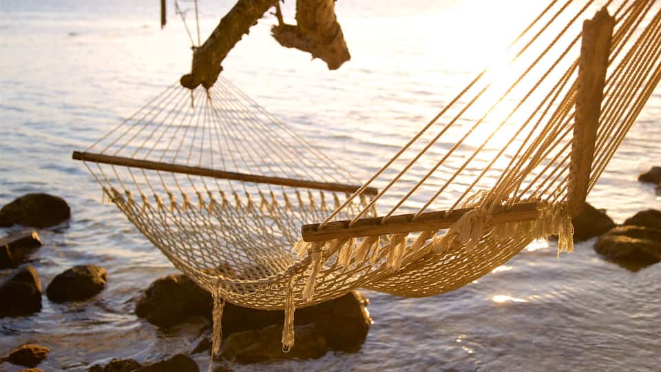 A hammock tied between rocks on a beach at sunset.