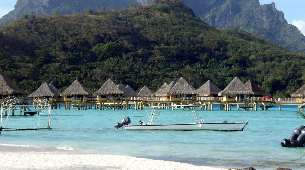 I mean, who doesn't want to stay in one of these over-water bungalows?