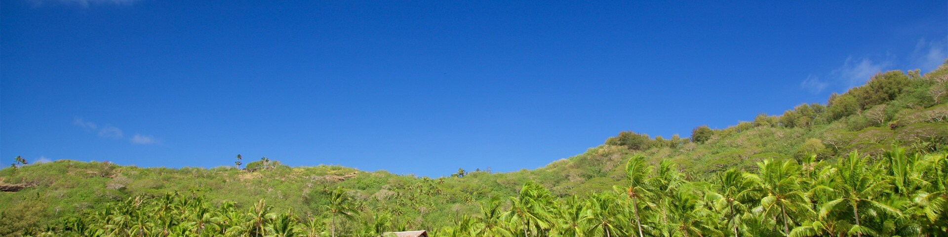 Una playa tropical con aguas turquesas cristalinas, palmeras y cabañas de techo de paja.