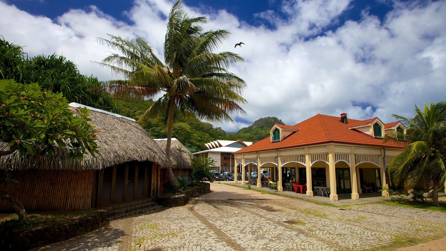 Uturoa featuring a small town or village